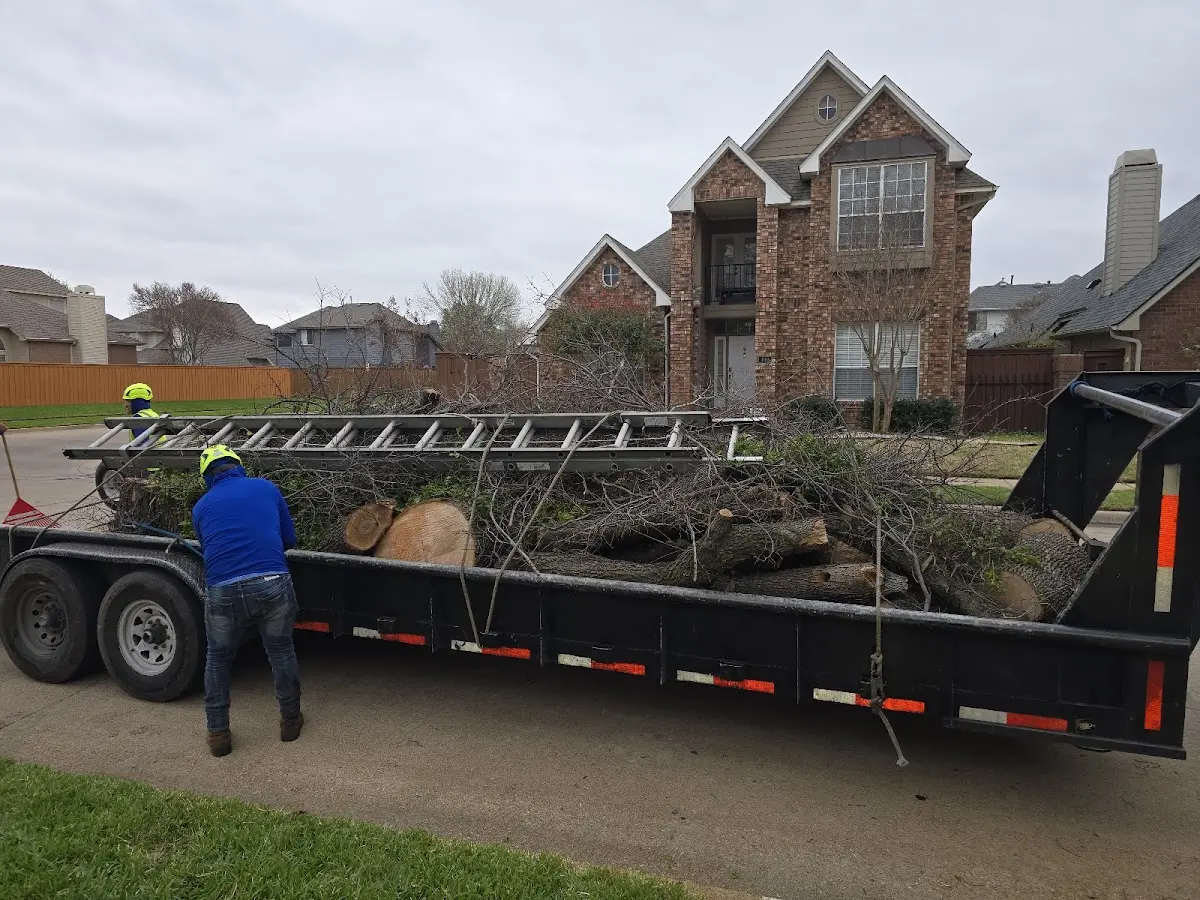Expert Tree Pest Control with proper safety equipment in Emmons